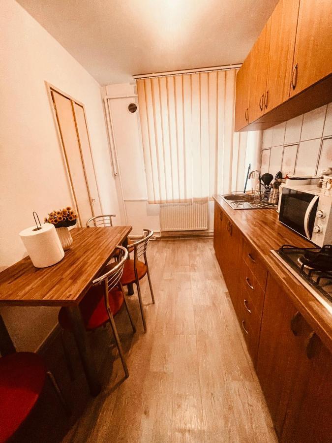 Ultracentral Big Apartment - Near The Opera Square P17 Тимишоара Екстериор снимка