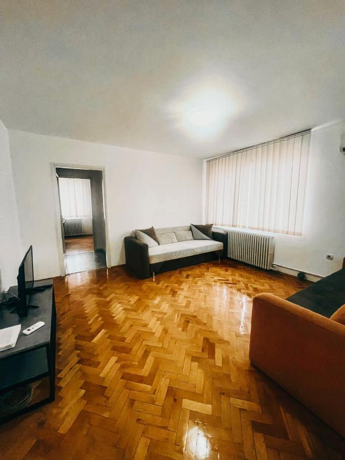Ultracentral Big Apartment - Near The Opera Square P17 Тимишоара Екстериор снимка