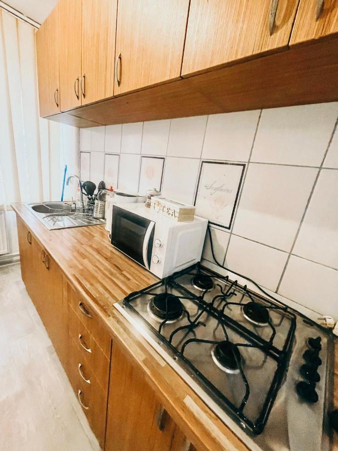 Ultracentral Big Apartment - Near The Opera Square P17 Тимишоара Екстериор снимка