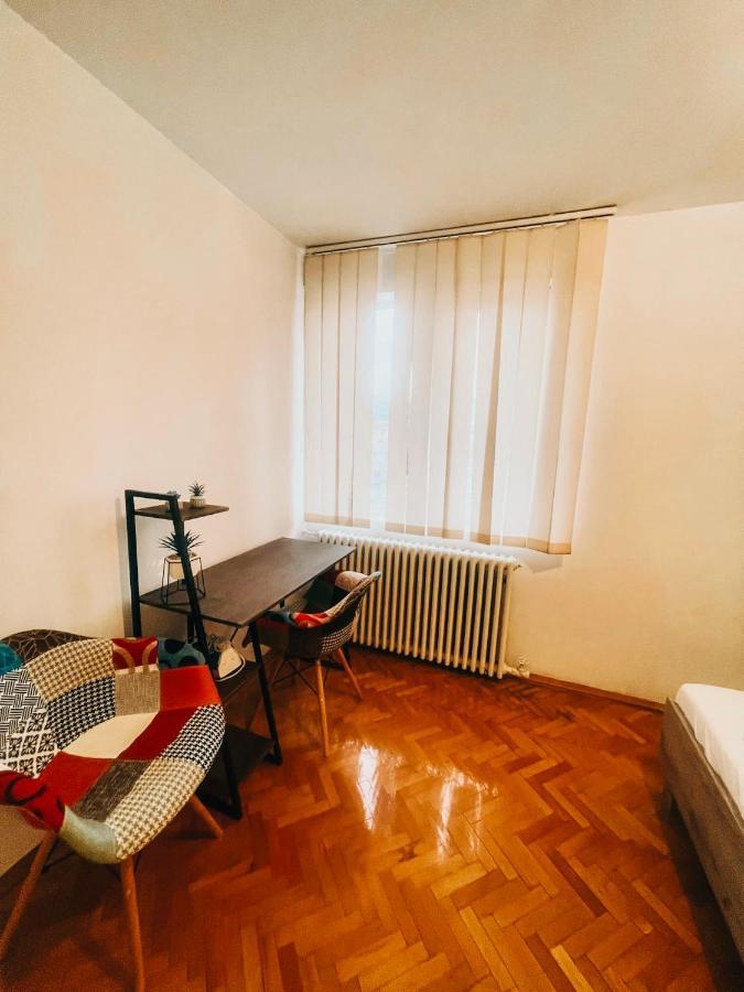 Ultracentral Big Apartment - Near The Opera Square P17 Тимишоара Екстериор снимка