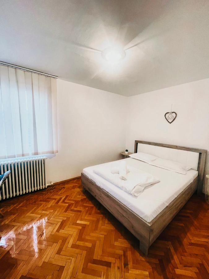 Ultracentral Big Apartment - Near The Opera Square P17 Тимишоара Екстериор снимка