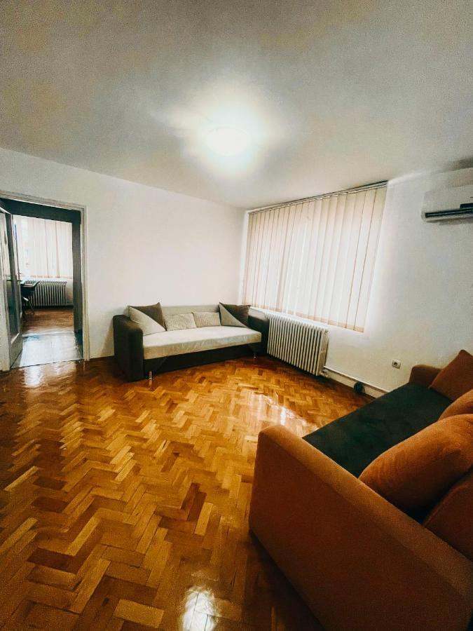 Ultracentral Big Apartment - Near The Opera Square P17 Тимишоара Екстериор снимка