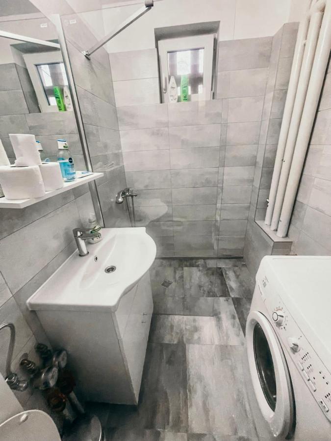 Ultracentral Big Apartment - Near The Opera Square P17 Тимишоара Екстериор снимка