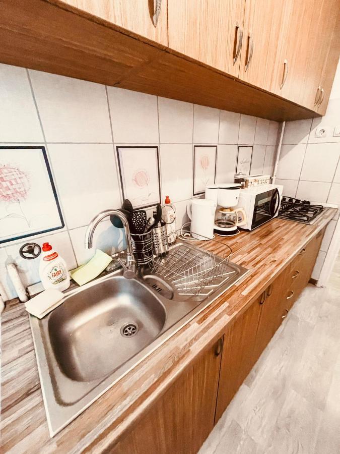 Ultracentral Big Apartment - Near The Opera Square P17 Тимишоара Екстериор снимка
