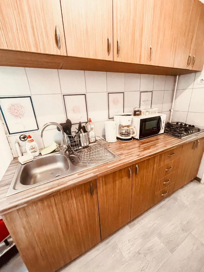 Ultracentral Big Apartment - Near The Opera Square P17 Тимишоара Екстериор снимка