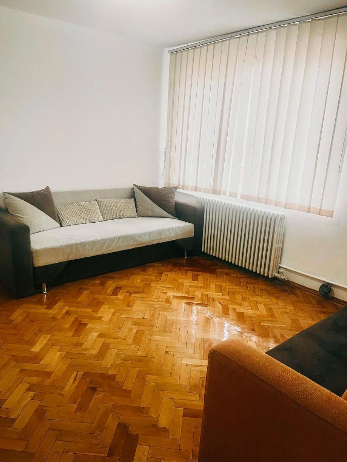 Ultracentral Big Apartment - Near The Opera Square P17 Тимишоара Екстериор снимка