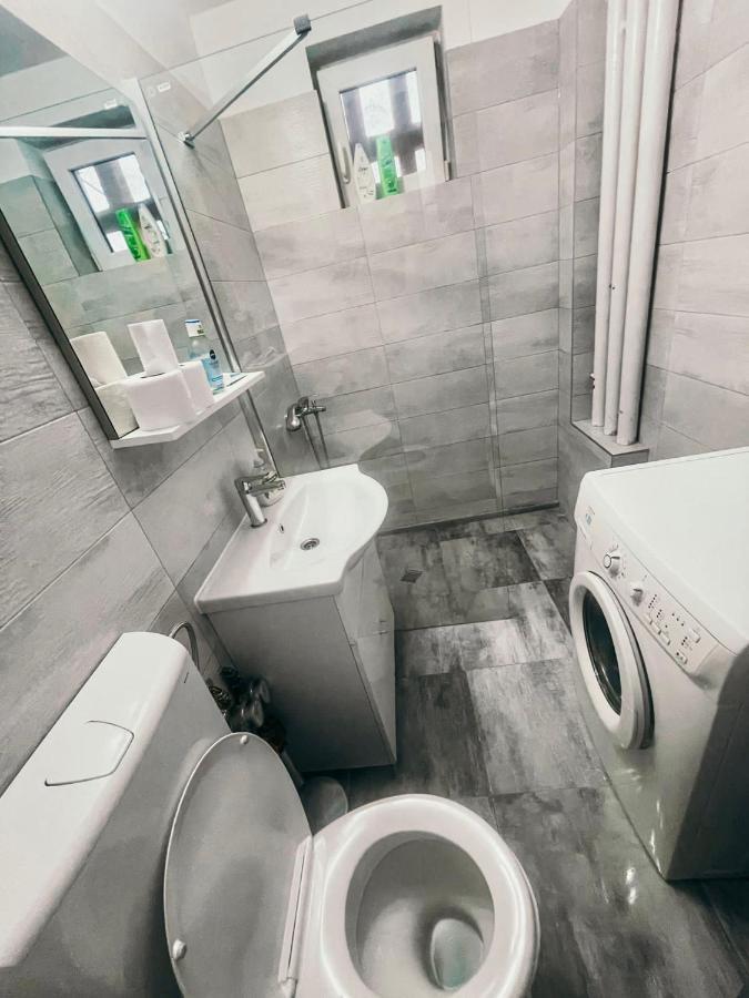 Ultracentral Big Apartment - Near The Opera Square P17 Тимишоара Екстериор снимка