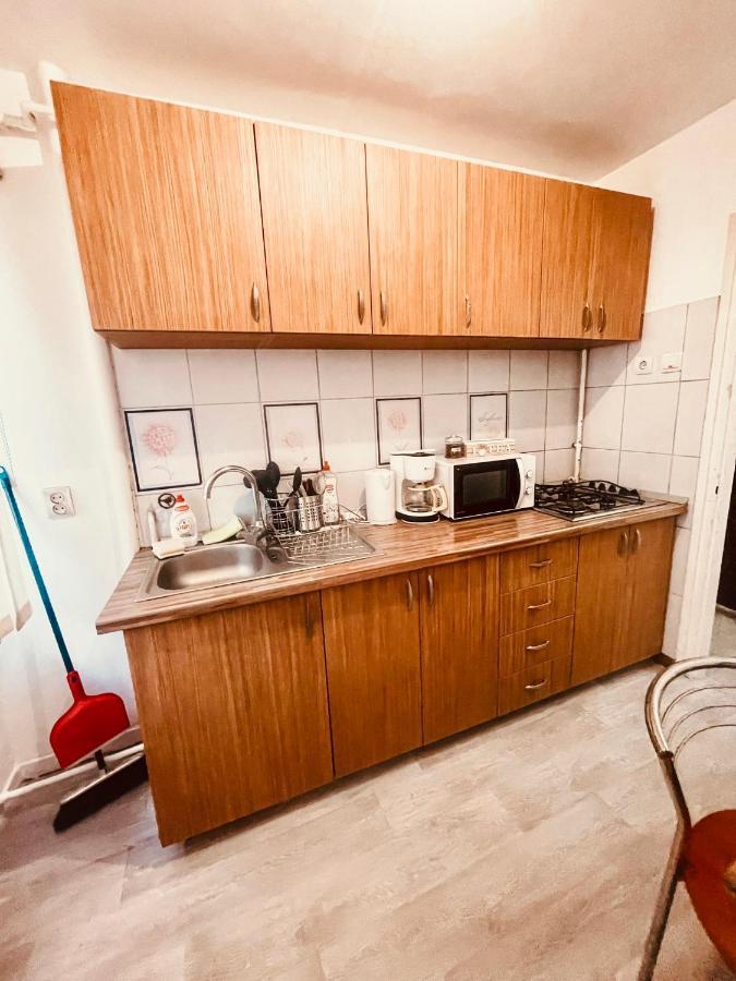 Ultracentral Big Apartment - Near The Opera Square P17 Тимишоара Екстериор снимка